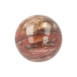 Versteend Hout Bol uit Madagaskar met artikelnummer 21729