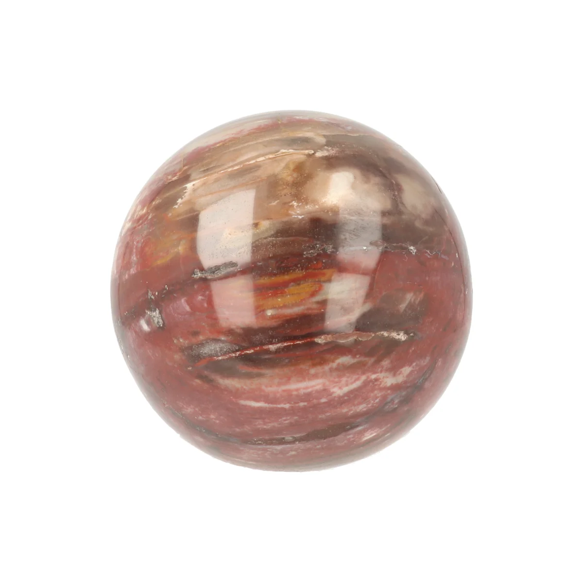 Versteend Hout Bol 1 Versteend Hout Bol uit Madagaskar met artikelnummer 21729