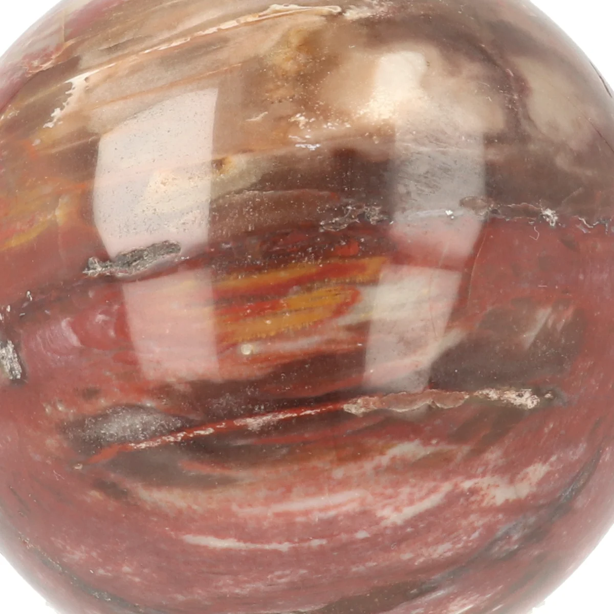 Versteend Hout Bol 2 Versteend Hout Bol uit Madagaskar met artikelnummer 21729