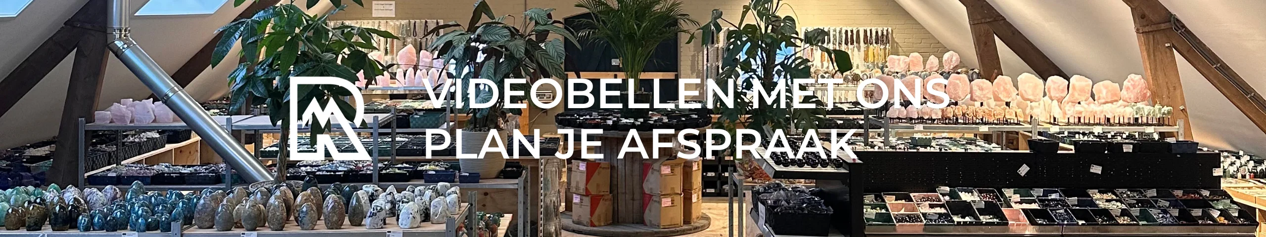 Homepage Banner Videobellen