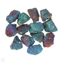 Peacock Pyriet - Borniet | S