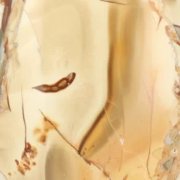 Breccie Jasper - Morondavite Sculpture from Madagascar with item number 21768