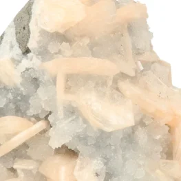 India Mix Raw from India with item number 21773