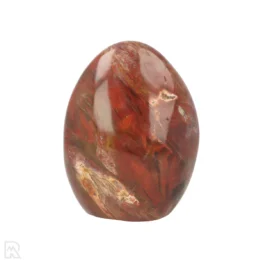 Petrified Wood Sculpture from Madagascar with item number 21802