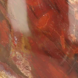 Petrified Wood Sculpture from Madagascar with item number 21802