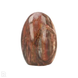 Petrified Wood Sculpture from Madagascar with item number 21803