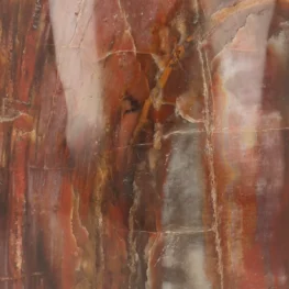 Petrified Wood Sculpture from Madagascar with item number 21803