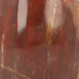 Petrified Wood Sculpture from Madagascar with item number 21804