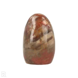 Petrified Wood Sculpture from Madagascar with item number 21805