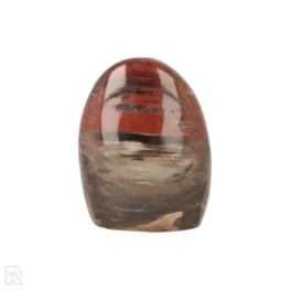 Petrified Wood Sculpture from Madagascar with item number 21806