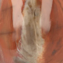 Petrified Wood Sculpture from Madagascar with item number 21807