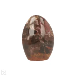 Petrified Wood Sculpture from Madagascar with item number 21808