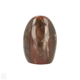 Petrified Wood Sculpture from Madagascar with item number 21809