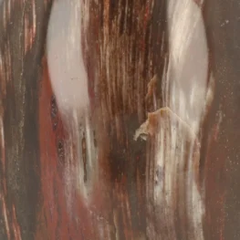 Petrified Wood Sculpture from Madagascar with item number 21809