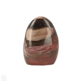 Petrified Wood Sculpture from Madagascar with item number 21810