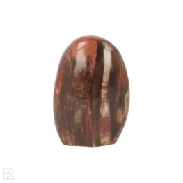 Versteend Hout Sculptuur uit Madagaskar met artikelnummer 21811