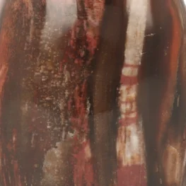 Versteend Hout Sculptuur uit Madagaskar met artikelnummer 21811