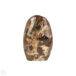 Versteend Hout Sculptuur uit Madagaskar met artikelnummer 21812