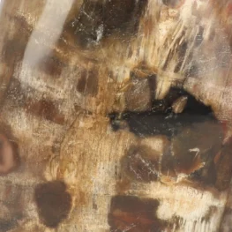 Versteend Hout Sculptuur uit Madagaskar met artikelnummer 21812