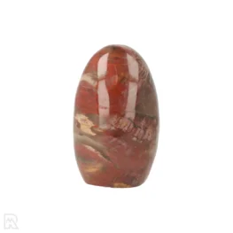 Versteend Hout Sculptuur uit Madagaskar met artikelnummer 21813