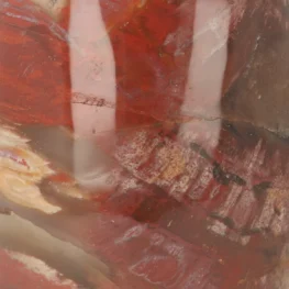 Versteend Hout Sculptuur uit Madagaskar met artikelnummer 21813