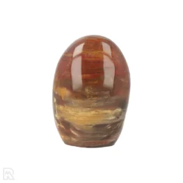 Versteend Hout Sculptuur uit Madagaskar met artikelnummer 21814