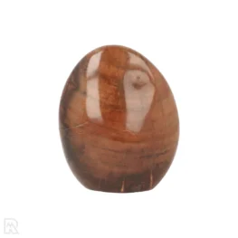 Versteend Hout Sculptuur uit Madagaskar met artikelnummer 21815