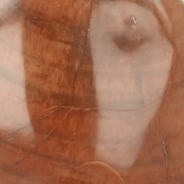 Versteend Hout Sculptuur uit Madagaskar met artikelnummer 21815