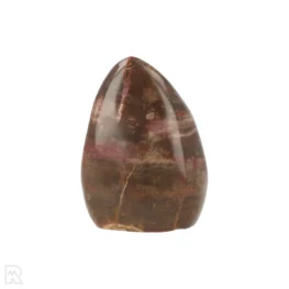 Versteend Hout Sculptuur uit Madagaskar met artikelnummer 21816