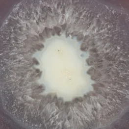 Agaat Op Standaard uit Brazilië met artikelnummer 21883