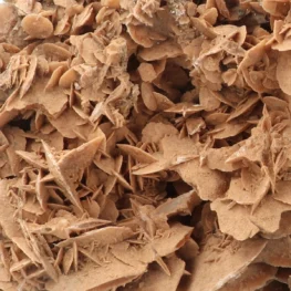 Woestijnroos Ruw uit Marokko met artikelnummer 21938