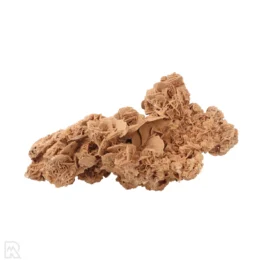 Woestijnroos Ruw uit Marokko met artikelnummer 21939