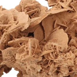 Woestijnroos Ruw uit Marokko met artikelnummer 21939