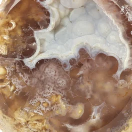 Agaat op Standaard uit Brazilië met artikelnummer 21950