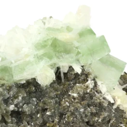 India Mix Ruw uit India met artikelnummer 21962