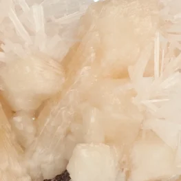 India Mix Ruw uit India met artikelnummer 21970