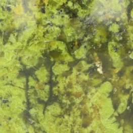 Groene Opaal Sculptuur uit Madagaskar met artikelnummer 21976