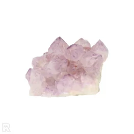 Cactus Amethist Cluster uit Zuid-Afrika met artikelnummer 21981