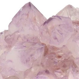 Cactus Amethist Cluster uit Zuid-Afrika met artikelnummer 21981