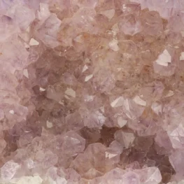 Cactus Amethist Cluster uit Zuid-Afrika met artikelnummer 21982