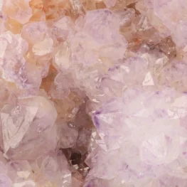 Cactus Amethist Cluster uit Zuid-Afrika met artikelnummer 21983