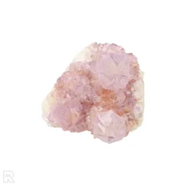 Cactus Amethist Cluster uit Zuid-Afrika met artikelnummer 21984