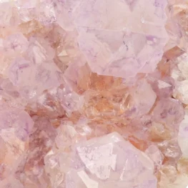 Cactus Amethist Cluster uit Zuid-Afrika met artikelnummer 21984