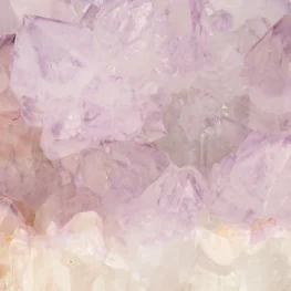 Cactus Amethist Cluster uit Zuid-Afrika met artikelnummer 21985