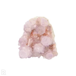 Cactus Amethist Cluster uit Zuid-Afrika met artikelnummer 21986