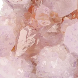 Cactus Amethist Cluster uit Zuid-Afrika met artikelnummer 21986