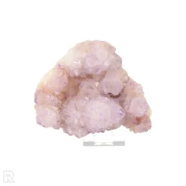 Cactus Amethist Cluster uit Zuid-Afrika met artikelnummer 21987