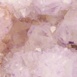 Cactus Amethist Cluster uit Zuid-Afrika met artikelnummer 21987