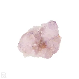 Cactus Amethist Cluster uit Zuid-Afrika met artikelnummer 21988