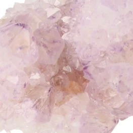 Cactus Amethist Cluster uit Zuid-Afrika met artikelnummer 21988